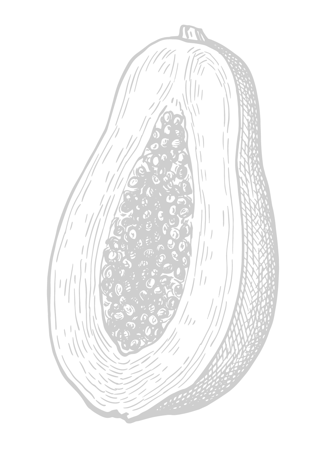 کاهش ضایعات غذایی با بستهبندی بهینه