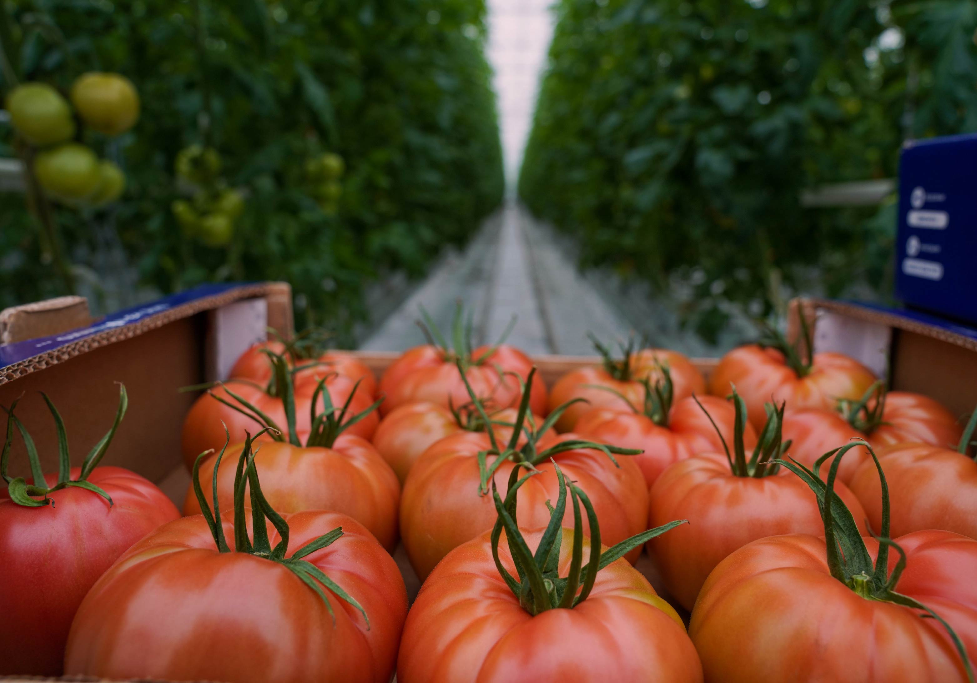 کنترل زنجیره تولید