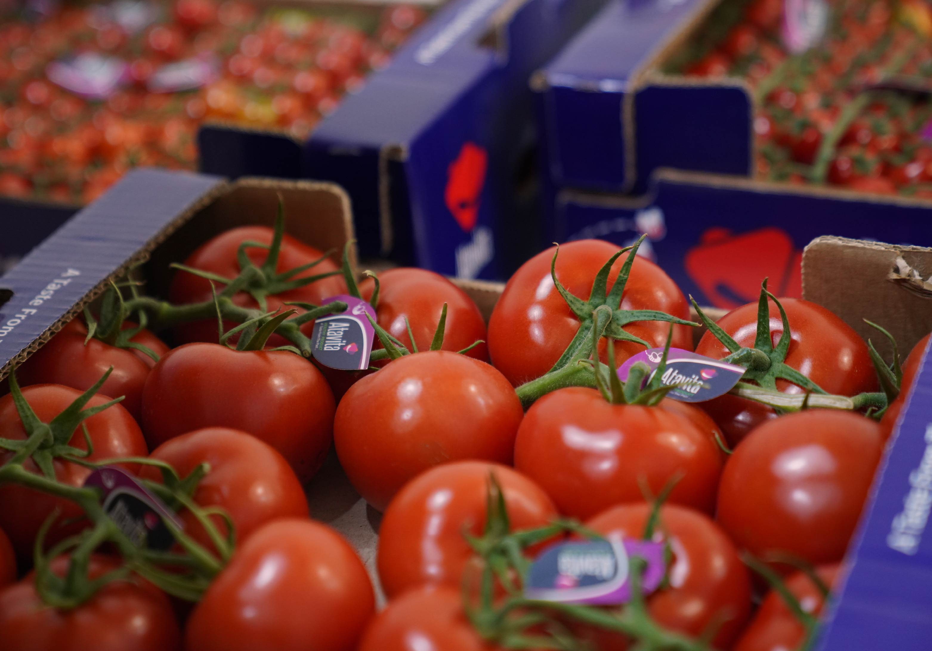 کاهش ضایعات غذایی با بستهبندی بهینه